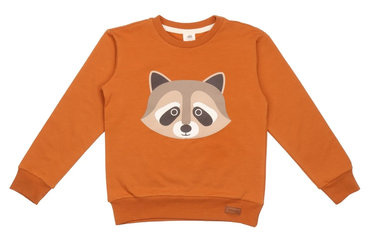 Walkiddy Sweatshirt Curious Raccoon Kürbis