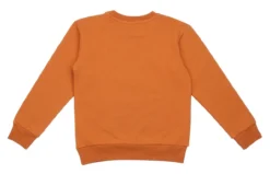 Walkiddy Sweatshirt Curious Raccoon Kürbis -Kinderbekleidungs Geschäft Walkiddy RS21 501 2 1280x1280