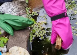 Rainkids Matschhandschuhe Ungefüttert Buddelfäustlinge Für Waldkinder -Kinderbekleidungs Geschäft kinder matschhandschuhe rainkids 1280x1280