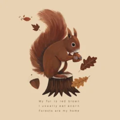 Walkiddy Tunika Squirrel Grün Eichhörnchen Biobaumwolle GOTS -Kinderbekleidungs Geschäft walkiddy squirrel 1280x1280 3